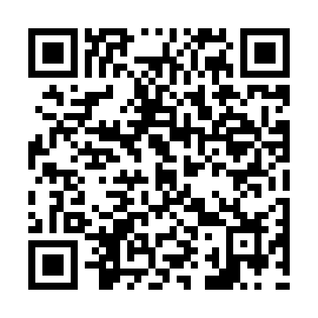 QR code for N94-87Z