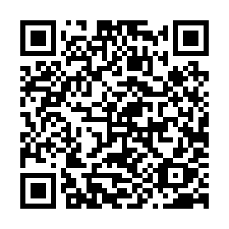 QR code for plate N94-29X