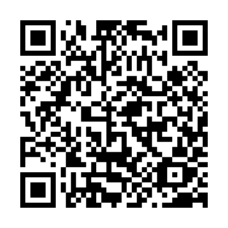 QR code for N95-09Z