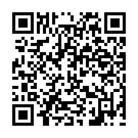 QR code for N95-22N