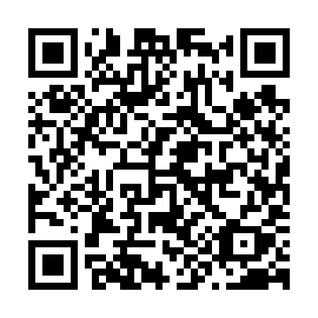 QR code for N95-69Y