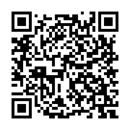 QR code for N95-97O