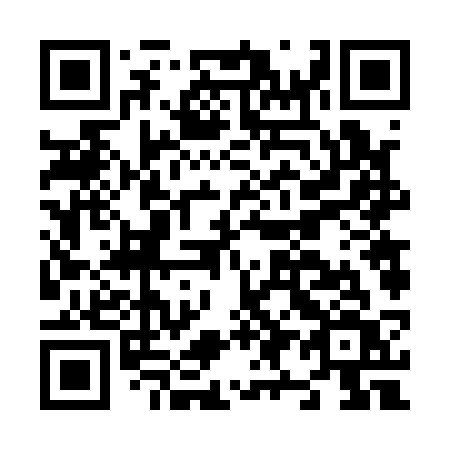 QR code for N96-13V