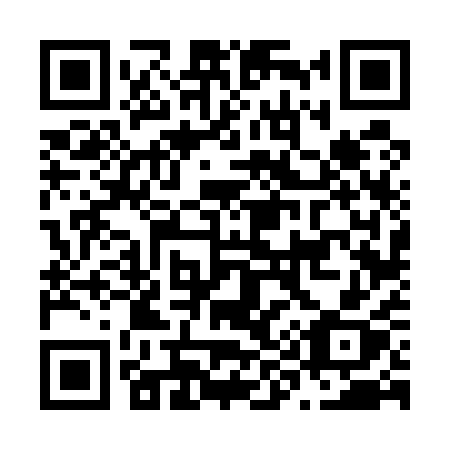 QR code for N96-51X