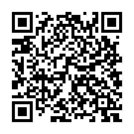 QR code for plate N96-10H