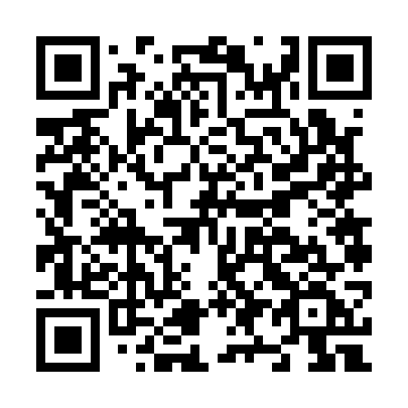 QR code for plate N96-17F