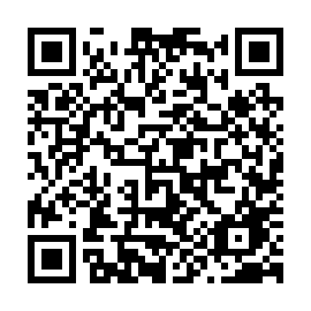 QR code for plate N96-20G