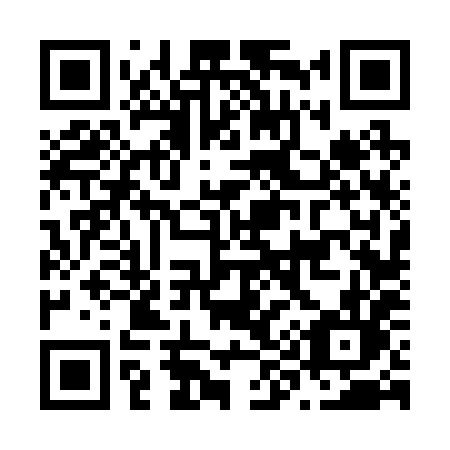 QR code for plate N96-28L