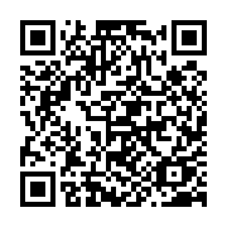 QR code for plate N96-51U