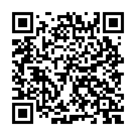 QR code for plate N98-36C