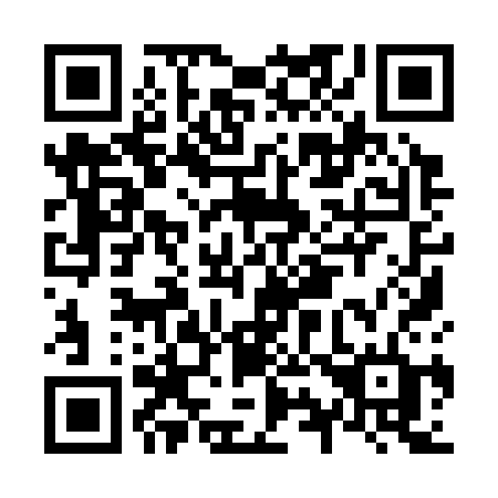 QR code for plate N99-33D