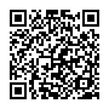 QR code for plate N99-36I