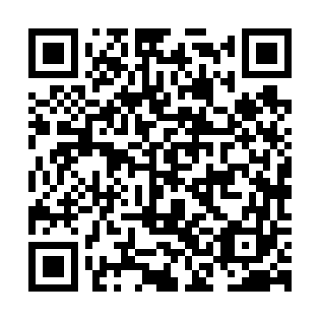 QR code for plate NCH-663