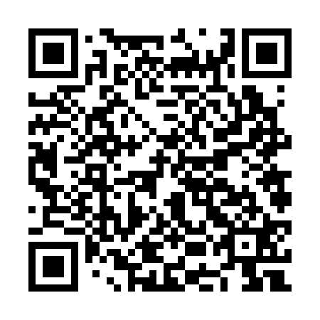QR code for plate NEF-321