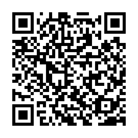 QR code for NFV739