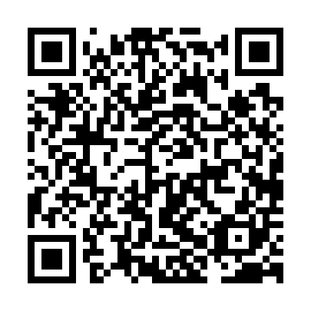 QR code for plate NHP-700