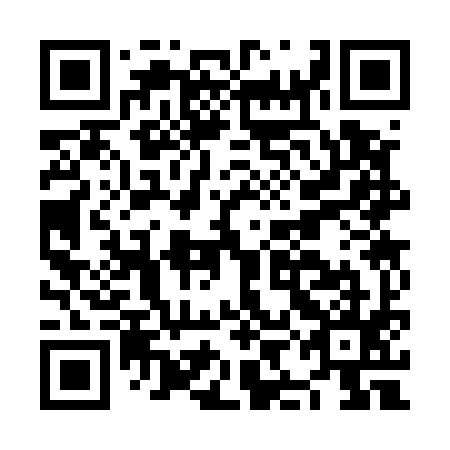 QR code for plate NIC-595