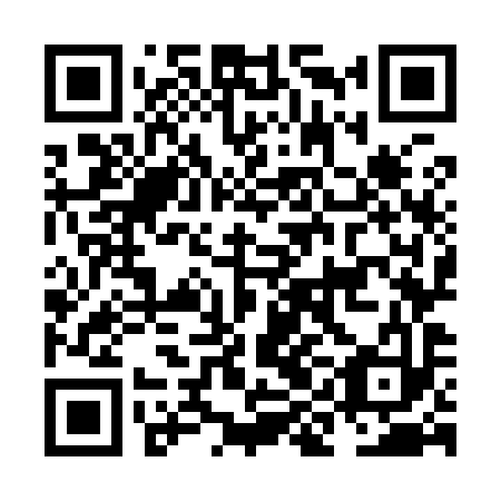 QR code for plate NIO-993
