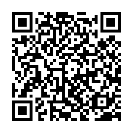 QR code for plate NKT-431