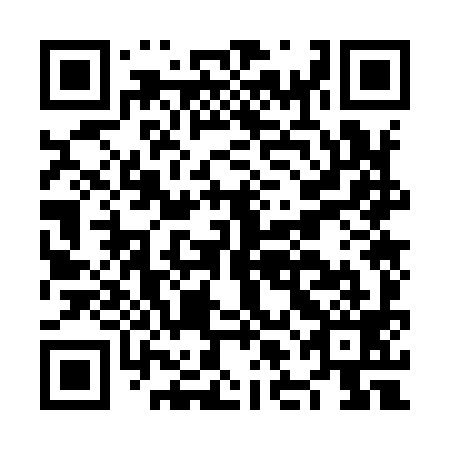 QR code for plate NLO-999