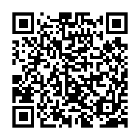 QR code for plate NLQ-613