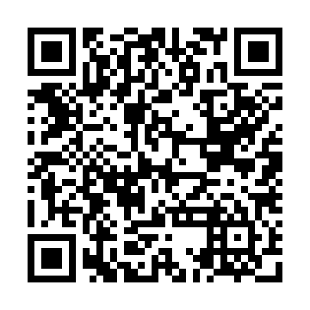 QR code for NMG385