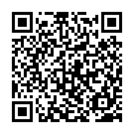 QR code for NMU-294