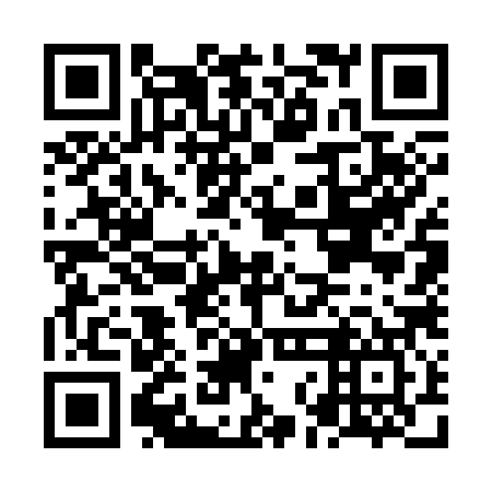 QR code for plate NNG-387