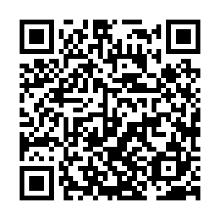 QR code for plate NNH-222