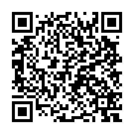 QR code for NNP-029