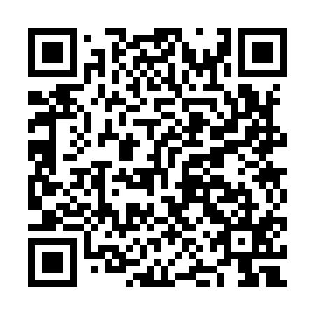 QR code for plate NNS-915