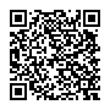 QR code for plate NOE-453
