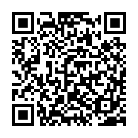 QR code for plate NPB-273