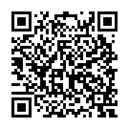 QR code for plate NPH-381