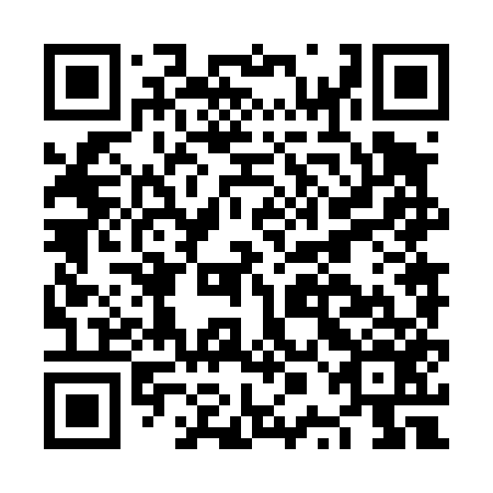 QR code for plate NPN-456