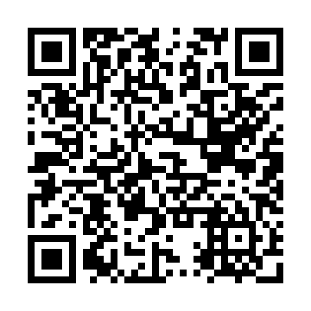 QR code for plate NQQ-985