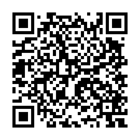 QR code for plate NQZ-449