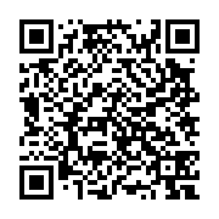 QR code for plate NSJ-038