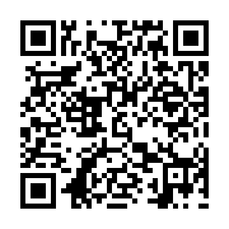 QR code for plate NYL-348