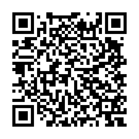 QR code for plate NYZ-450