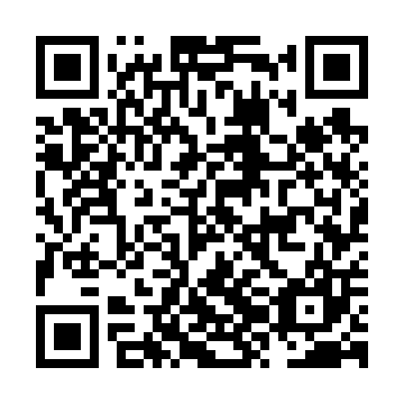 QR code for NZG-607