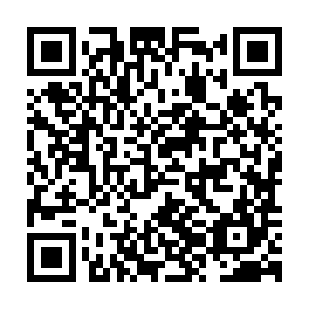 QR code for NZJ-384