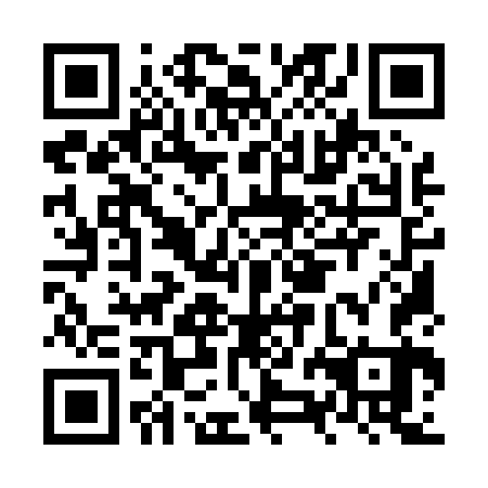QR code for plate NZM-063