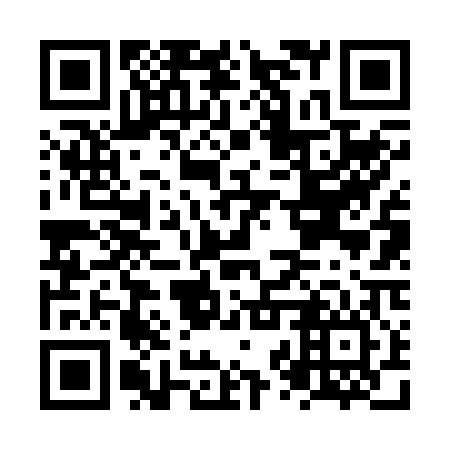 QR code for plate NZV-206