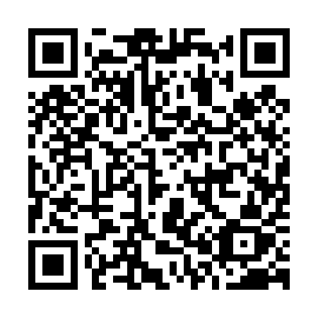 QR code for O0141Z