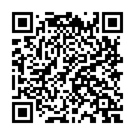 QR code for plate O29-95D