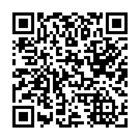 QR code for plate O38-13T
