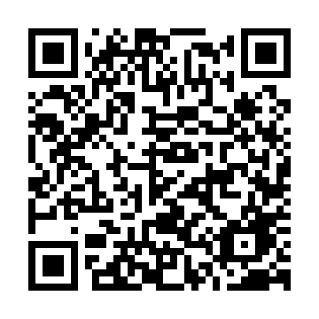 QR code for plate O46-10G
