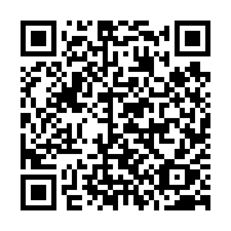 QR code for plate O66-61X