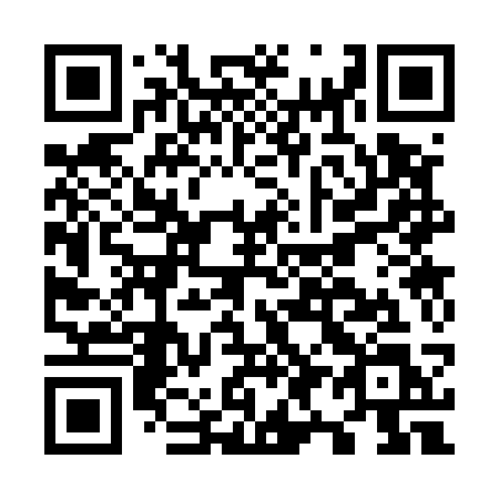 QR code for plate O93-53L